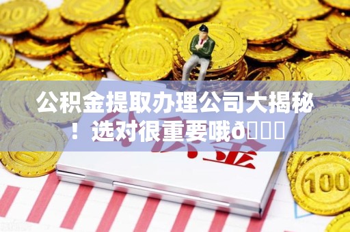 亳州公积金提取办理公司大揭秘！选对很重要哦😎